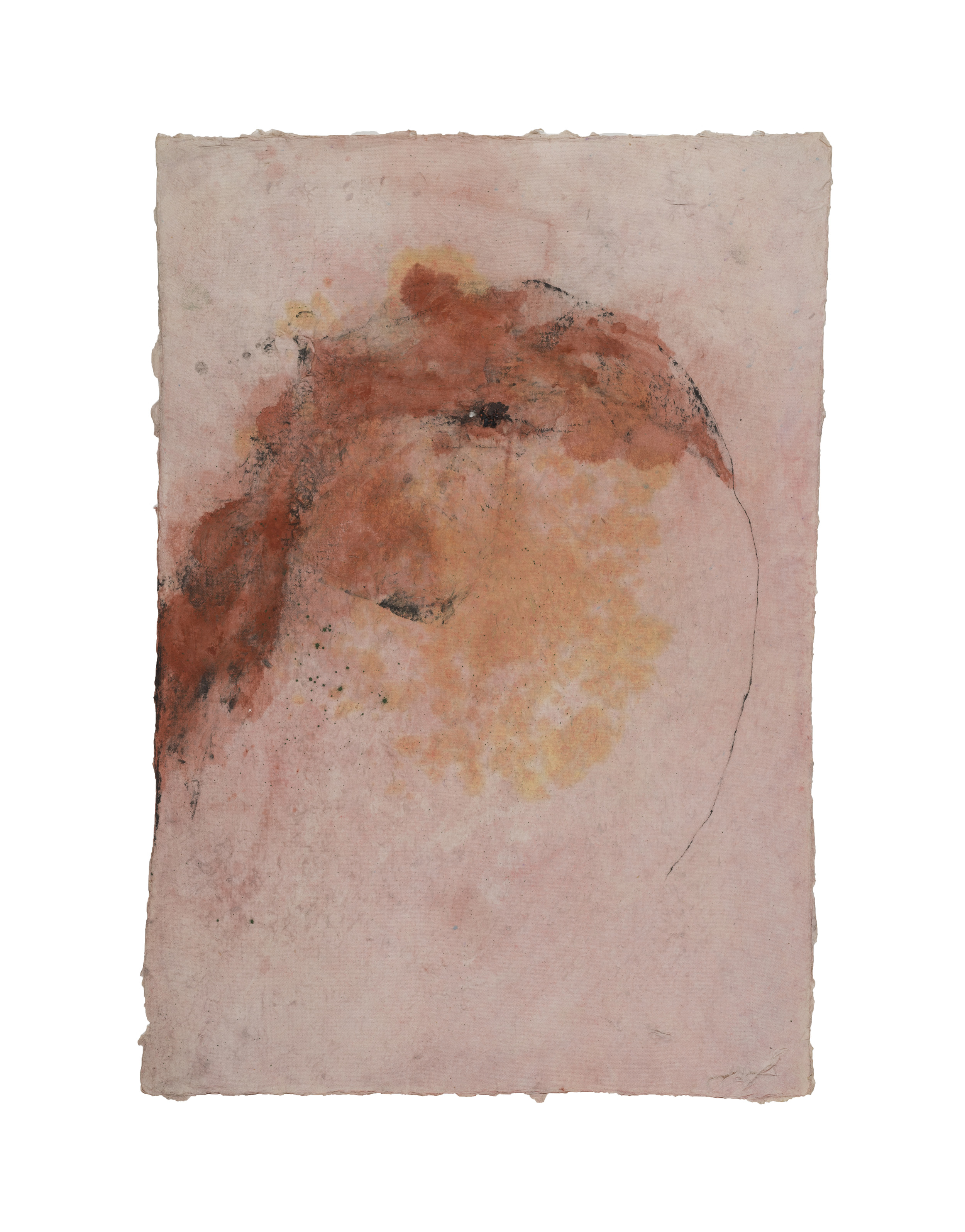 Untitled 10